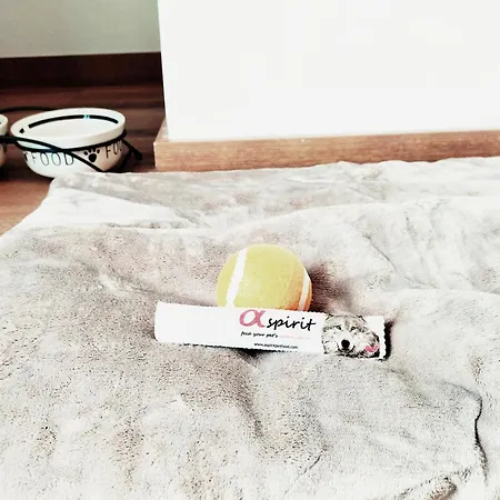 Matilde By Gaiarooms 萨拉曼卡