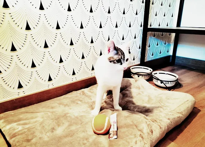 ホテル Matilde By Gaiarooms