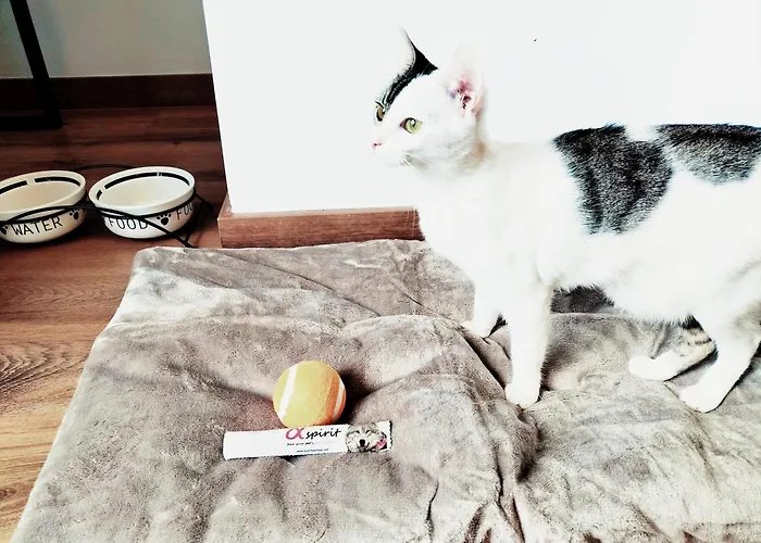 Otel Matilde By Gaiarooms 2*