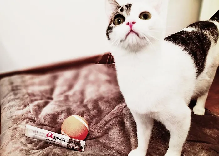 Otel Matilde By Gaiarooms Salamanca